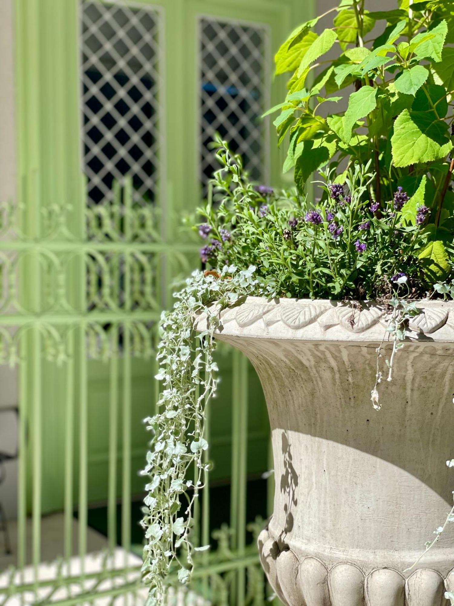 Villa Wickenburg Σάλτσμπουργκ Εξωτερικό φωτογραφία